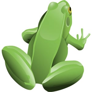 Usos-para-screaming-frog
